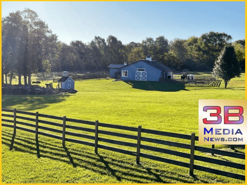 Running 3 Ranch OPEN BARN AT DEER RUN RANCH – 3B Media News
