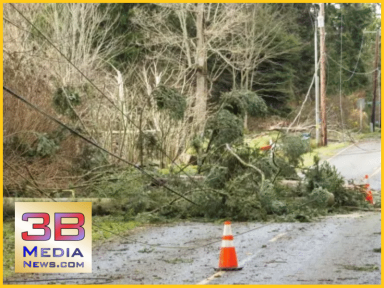 MIDTOWN FIRE AND MORE RESPOND TO TREE FALLING ON HOME AND POWER LINES ...