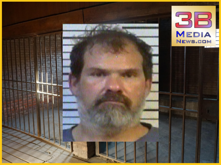 LUTHER EUGENE BOLES SENTENCED TO FOUR YEARS FOR FELON IN POSSESSION OF ...
