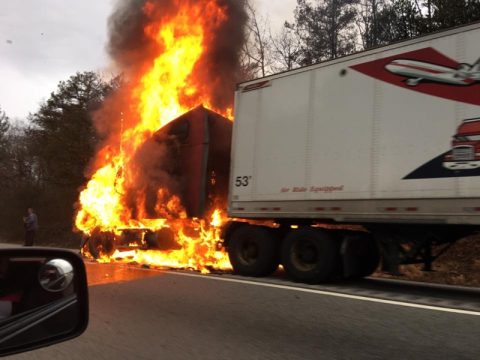 SEVERAL DOGS KILLED IN TRUCK FIRE ALONG I-40 TUESDAY