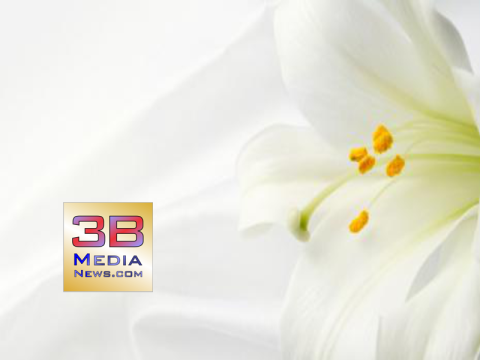 3B MEdia News Obituary Background Template 3 lily
