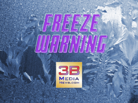 3B Media Freeze Warning