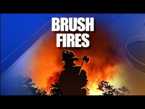 Brush fires