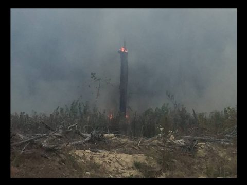 FOUR CATOOSA WILDFIRES NOW BURNING