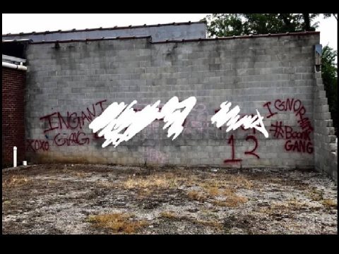 FOUR YOUTHS ARRESTED IN CONNECTION WITH COOKEVILLE VANDALISM