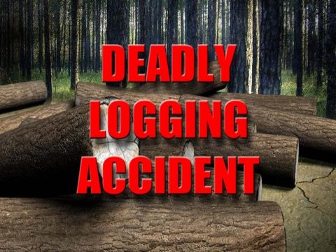 CROSSVILLE LOGGER DIES IN ACCIDENT IN CANNON COUNTY