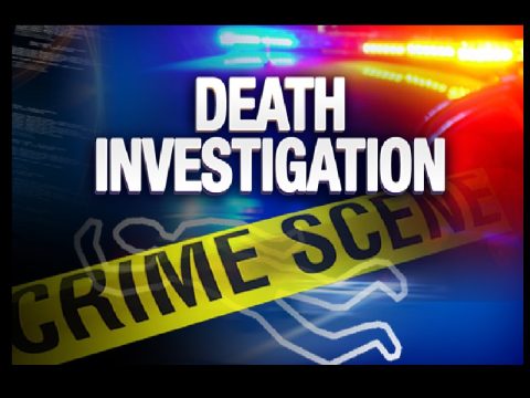 SKELETAL REMAINS DISCOVERED IN PIGEON FORGE