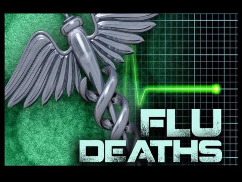 HEALTH OFFICIALS SAY 3 CHILDREN HAVE DIED FROM FLU IN TENNESSEE