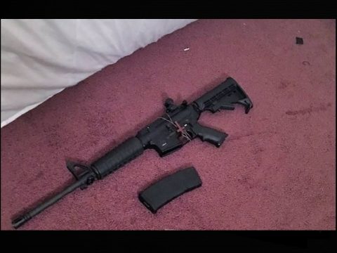 Florida stolen guns