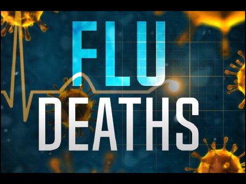Flu deaths