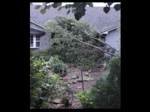 RESIDENTS SEEKING REPAIRS FROM STORMS SHOULD BE AWARE OF SCAMMERS