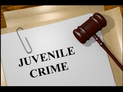 Juvenile crime