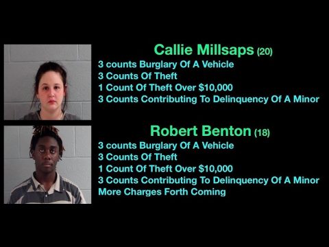 Loudon County thefts
