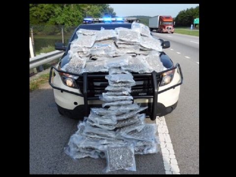 100 POUNDS OF MARIJUANA CONFISCATED IN MARION COUNTY