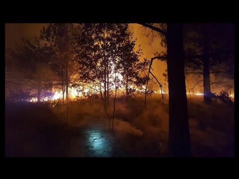 STATE HO-- USE AND SENATE WORKING ON E. TENNESSEE WILDFIRE BILLS