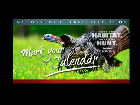 National Wild Turkey Fed