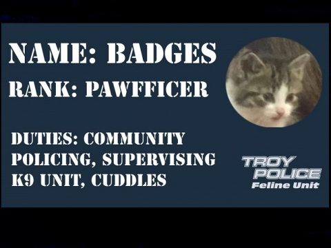 Pawfficer Badges