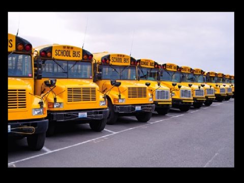 SCHOOL BUS SEAT BELT BILL ADVANCES IN THE STATE HO-- USE