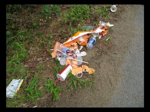 TDOT LAUNCHES NEW ANTI-LITTER CAMPAIGN "NOBODY TRASHES TENNESSEE"