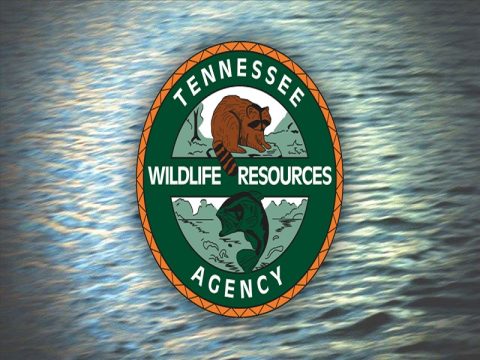SATURDAY AUG. 24 IS TENNESSEE FREE HUNTING DAY