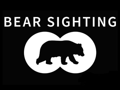 bear sighting