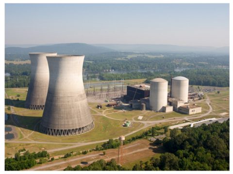 TVA SETS FINAL AUCTION ROUND FOR NUCLEAR PLANT