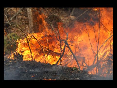 MORE BRUSH FIRES BEING BATTLED IN ANDERSON COUNTY