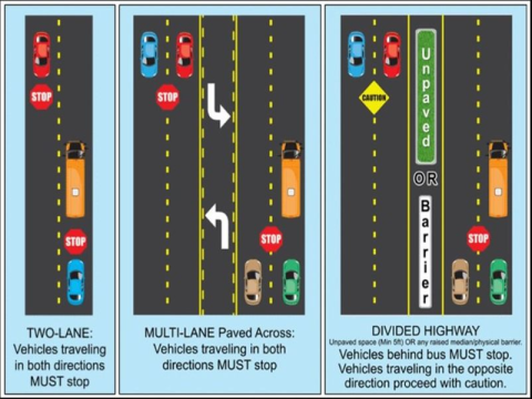 bus traffic rules