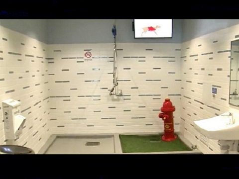 dog bathroom at Atlanta airport