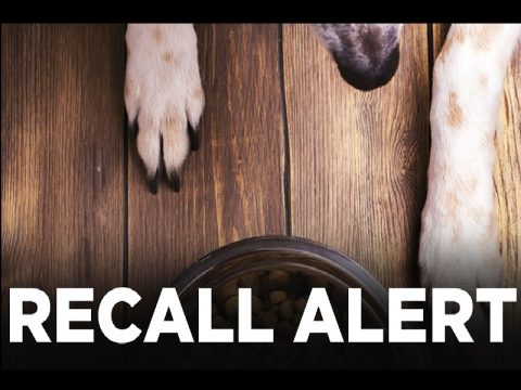 dog food recall