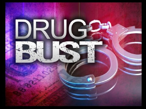 ROCKWOOD WOMAN FACES DRUG CHARGES IN CROSSVILLE