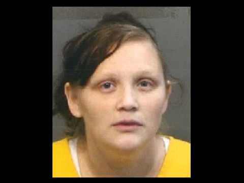 RHEA COUNTY WOMAN CHARGED WITH TENNCARE FRAUD