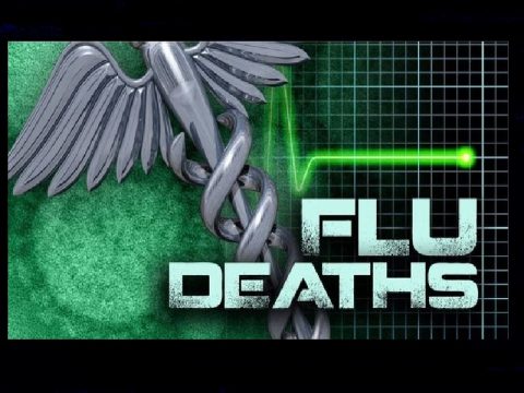 flu deaths