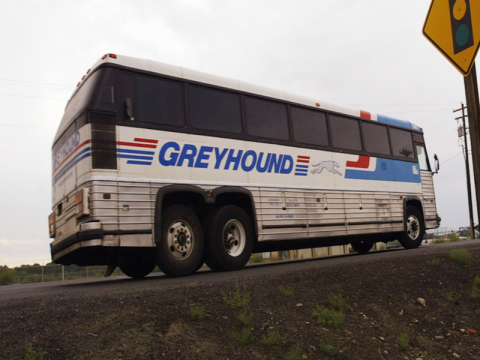 grey hound bus
