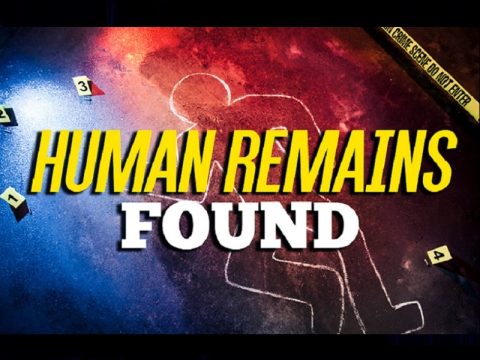 human remains graphic