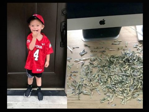 kid shreds money