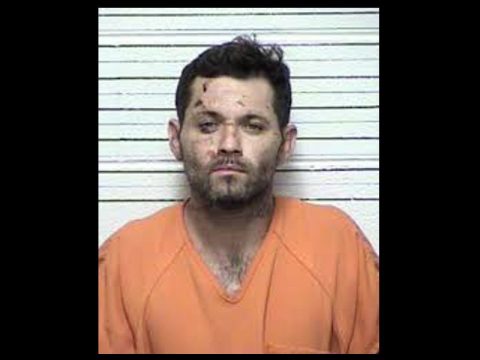 SUSPECTED AUTO THIEF FROM BLEDSOE COUNTY CAUGHT IN GEORGIA