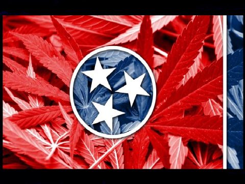 medical marijuana tennessee