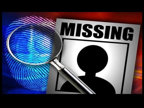 MISSING MICHIGAN JUVENILE INVOLVED IN ACCIDENT IN ROANE COUNTY