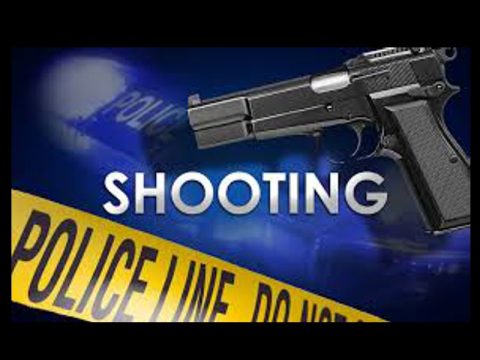 WOMAN FATALLY SHOOTS HERSELF DURING WARRANT SERVICE