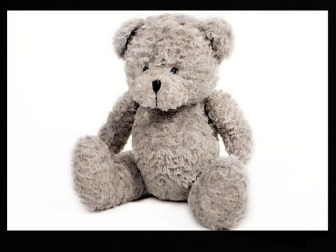 teddy bear camera