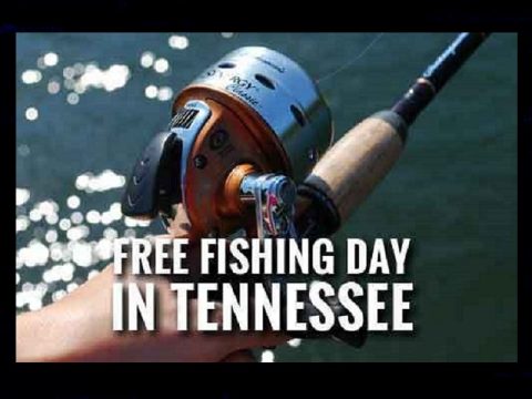 tennessee-free-fishing-day