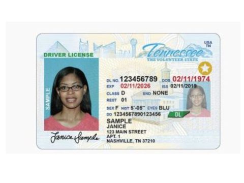 tn sample drivers license 800 x 600