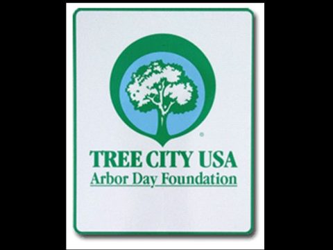 CROSSVILLE TREE BOARD TO PASS OUT SEEDLINGS FRIDAY, MARCH 3RD