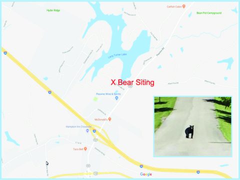 turner lake bear siting on map