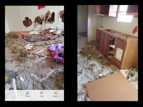 CROSSVILLE FAMILY DEVASTATED BY HO-- USE VANDALISM